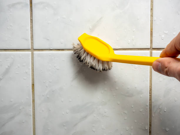 Best Mold Removal and Inspection  in Scotts Valley, CA