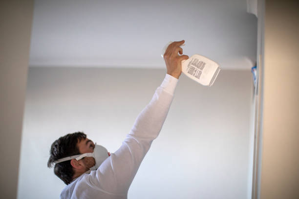 Best Crawl Space Mold Removal  in Scotts Valley, CA
