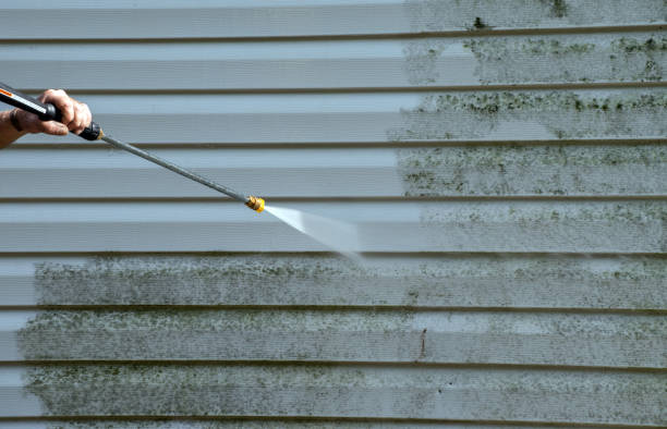 Best Toxic Mold Removal  in Scotts Valley, CA