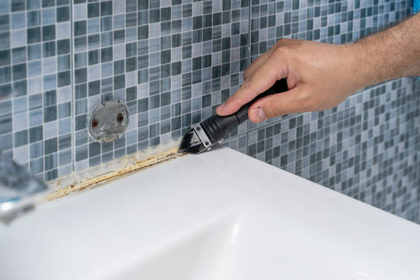 Best Black Mold Removal  in Scotts Valley, CA
