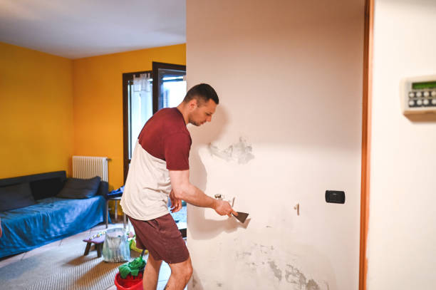 Best Professional Mold Removal  in Scotts Valley, CA